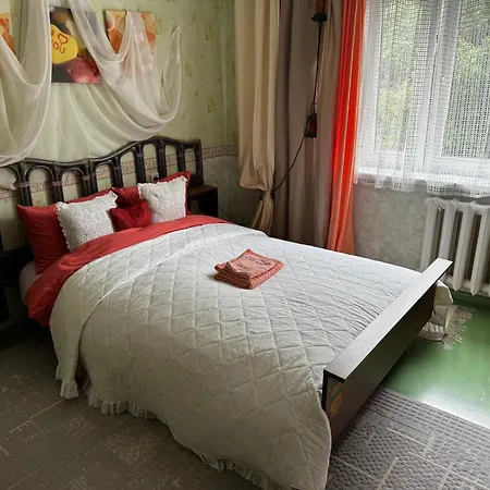 Hébergement de vacances Cosy House With Forest View