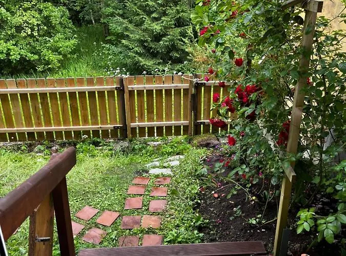 Hébergement de vacances Cosy House With Forest View *